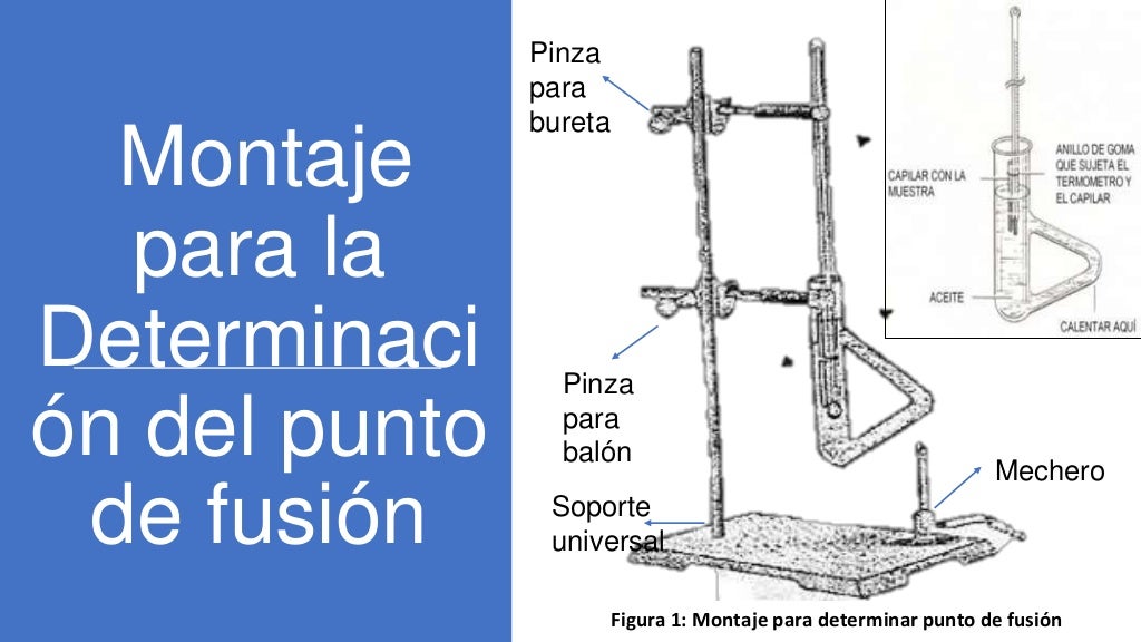 Punto de fusion (1)