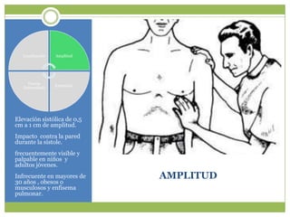Localización   Amplitud




      Fuerza
                  Extensión
   (Intensidad)




Elevación sistólica de 0,5
cm a 1 cm de amplitud.
Impacto contra la pared
durante la sístole.
frecuentemente visible y
palpable en niños y
adultos jóvenes.
Infrecuente en mayores de     AMPLITUD
30 años , obesos o
musculosos y enfisema
pulmonar.
 