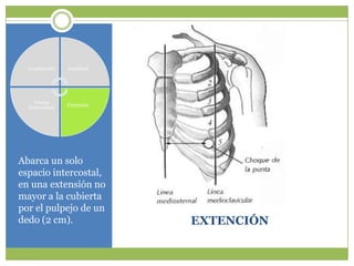 Localización   Amplitud




     Fuerza
                 Extensión
  (Intensidad)




Abarca un solo
espacio intercostal,
en una extensión no
mayor a la cubierta
por el pulpejo de un
dedo (2 cm).                 EXTENCIÓN
 