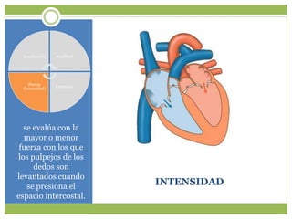 Localización   Amplitud




    Fuerza
                Extensión
 (Intensidad)




  se evalúa con la
  mayor o menor
 fuerza con los que
los pulpejos de los
     dedos son
levantados cuando
   se presiona el           INTENSIDAD
espacio intercostal.
 