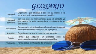 Huésped
Organismo que alberga a otro en su interior o lo
porta sobre sí, manteniendo una relación.
Huésped
definitivo
Ser vivo que es imprescindible para el parásito ya
que dentro de éste desarrollará principalmente su
fase adulta.
Reservorio
Ser animado o inanimado en el que el agente causal
de una enfermedad se reproduce y perpetúa.
Parasito Organismo que vive a costa de otra especie
Quiste
Forma que adquiere un protozoo para su
supervivencia en condiciones desfavorables.
Trofozoito Forma activa e infectante del protozoo.
 