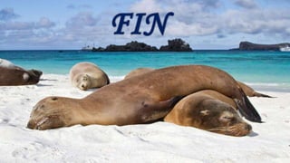 Generalidades de protozoos