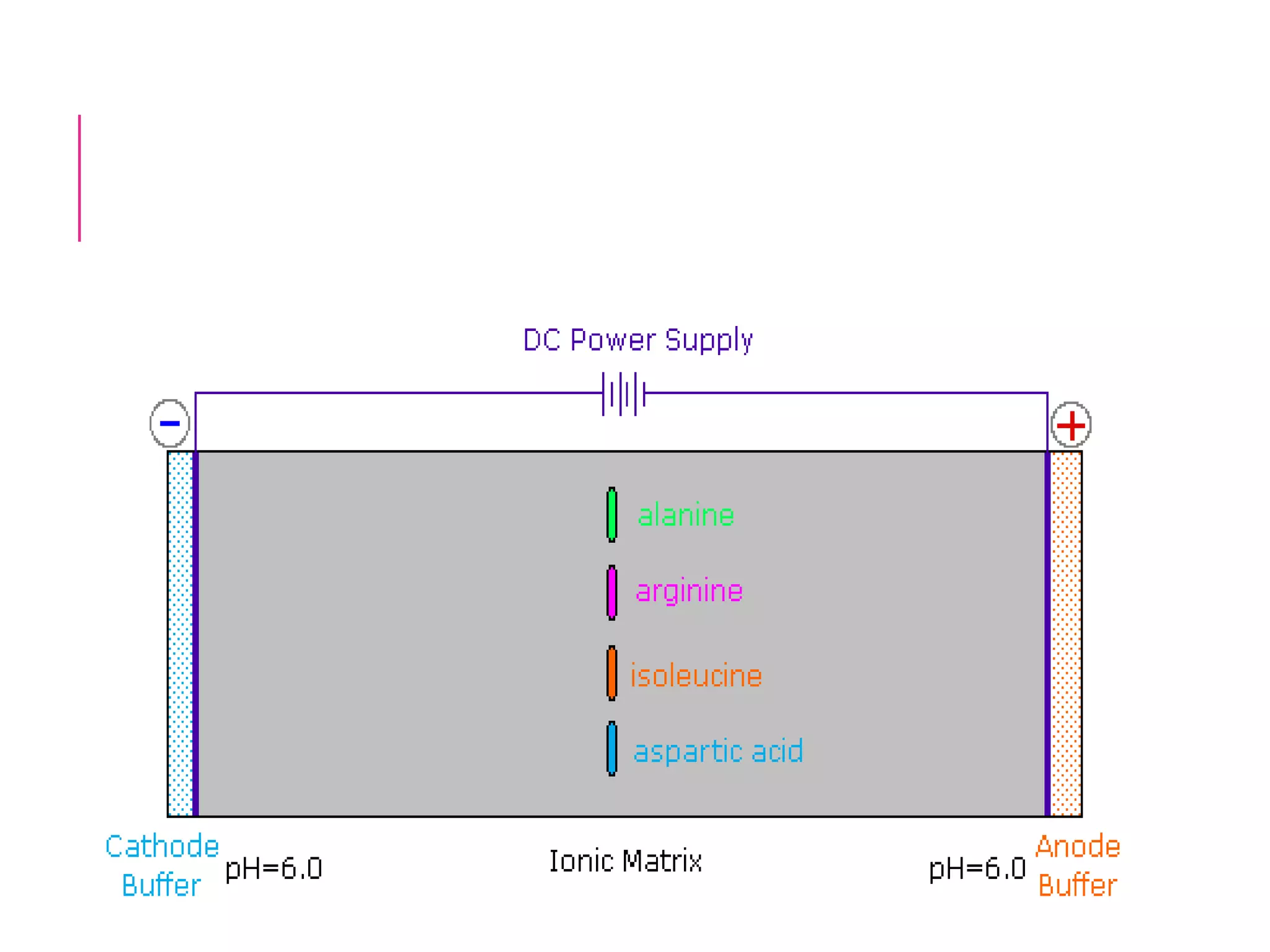 Punto isoélectrico PPT