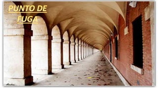 Punto, lineas y plano