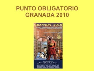 PUNTO OBLIGATORIO GRANADA 2010 