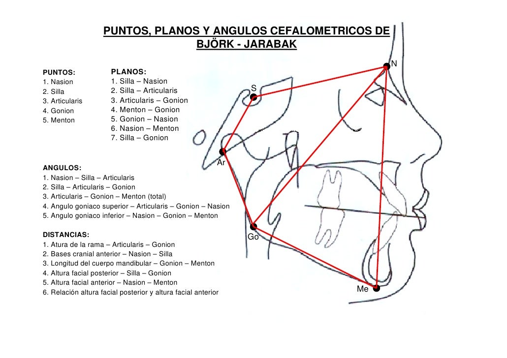 Puntos cefalometricos