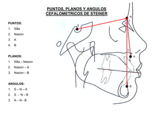 PUNTOS, PLANOS Y ANGULOS
CEFALOMETRICOS DE STEINER
N
A
S
B
1
2
3
PUNTOS:
1. Silla
2. Nasion
3. A
4. B
PLANOS:
1. Silla – Nasion
2. Nasion – A
3. Nasion – B
ANGULOS:
1. S – N – A
2. S - N – B
3. A – N - B
 