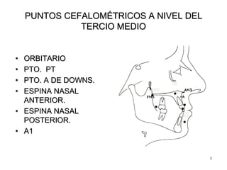 33
PUNTOS CEFALOMPUNTOS CEFALOMÉÉTRICOS A NIVEL DELTRICOS A NIVEL DEL
TERCIO MEDIOTERCIO MEDIO
•• ORBITARIOORBITARIO
•• PTO. PTPTO. PT
•• PTO. A DE DOWNS.PTO. A DE DOWNS.
•• ESPINA NASALESPINA NASAL
ANTERIOR.ANTERIOR.
•• ESPINA NASALESPINA NASAL
POSTERIOR.POSTERIOR.
•• A1A1
 