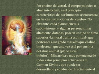 Por encima del astral, el cuerpo psíquico o
alma intelectual, es el principio
característico del ser humano; se encuentra
en las circunvoluciones del cerebro. No
obstante, cada plano tiene sus
subdivisiones, y algunas personas, más
altamente dotadas, poseen un tipo de alma
superior -la moral o alma espiritual- que
pertenece a un grado más alto que el alma
intelectual, que a su vez está por encima
del alma animal (plano astral
inferior). Más arriba y muy por encima de
todos estos principios activos está el
Germen Divino , que puede ser
desarrollado y conducido directamente al

 