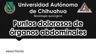 Alexia Priscila
Universidad Autónoma
de Chihuahua
 