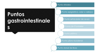 Puntos
gastrointestinale
s
Punto xifoideo
Punto epigástrico, solar o celiaco
Punto señal-dolor de Leven
Punto de Cruvhelier
Punto pilórico
Punto piloro-duodenal
Punto dorsal de Boas
 