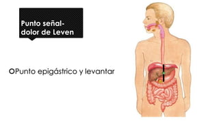 Punto señal-
dolor de Leven
Punto epigástrico y levantar
 