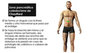 Zona pancreático
coledociana de
Chauffard
 Se forma un ángulo con la línea
media y otra transversal que pasa por
el ombligo
 Se traza la bisectriz del mismo y el
ángulo interno así formado, dos
traveses de dedo por encima del
ombligo se obtiene una zona que es
dolorosa a la presión en caso de
patología de colédoco o cabeza de
páncreas
 