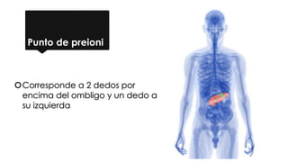 Punto de preioni
Corresponde a 2 dedos por
encima del ombligo y un dedo a
su izquierda
 