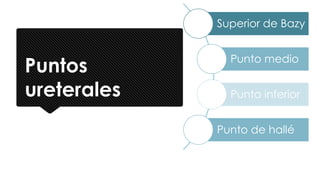 Puntos
ureterales
Superior de Bazy
Punto medio
Punto inferior
Punto de hallé
 