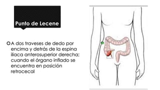 Punto de Lecene
A dos traveses de dedo por
encima y detrás de la espina
iliaca anterosuperior derecha;
cuando el órgano inflado se
encuentra en posición
retrocecal
 