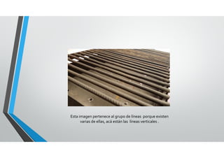 Esta imagen pertenece al grupo de líneas  porque existen 
varias de ellas, acá están las  líneas verticales .
 