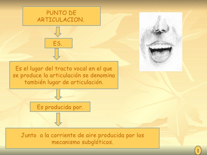 Punto y modo de articulacion