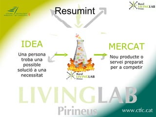 Resumint IDEA Una persona troba una possible solució a una necessitat MERCAT Nou producte o servei preparat per a competir 