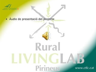 Àudio de presentació del projecte 
