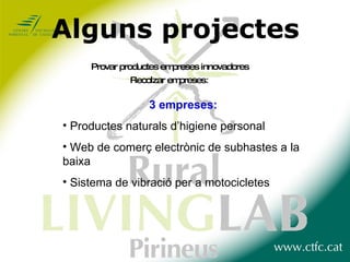 Alguns projectes Provar productes empreses innovadores Recolzar empreses : 3  empreses: Productes naturals d’higiene personal Web de comerç electrònic de subhastes a la baixa  Sistema de vibració per a motocicletes  