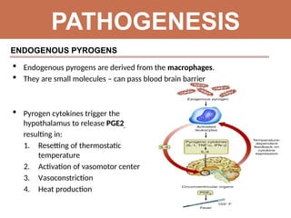 Pyrogen Interface Pyrexia of unknown origin in children.pptx