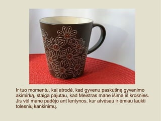 Ir tuo momentu, kai atrodė, kad gyvenu paskutinę gyvenimo
akimirką, staiga pajutau, kad Meistras mane išima iš krosnies.
Jis vėl mane padėjo ant lentynos, kur atvėsau ir ėmiau laukti
tolesnių kankinimų.
 