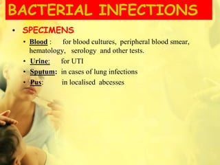 BACTERIAL INFECTIONS
• SPECIMENS
• Blood : for blood cultures, peripheral blood smear,
hematology, serology and other tests.
• Urine: for UTI
• Sputum: in cases of lung infections
• Pus: in localised abcesses
 