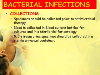 BACTERIAL INFECTIONS
• COLLECTIONS
• Specimens should be collected prior to antimicrobial
therapy.
• Blood is collected in Blood culture bottles for
cultures and in a sterile vial for serology.
• Mid-stream urine specimen should be collected in a
sterile universal container.
 