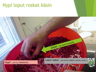 Nypi loput roskat käsin 
Nypi! –pickout (IMPERATIVE) 
Loput roskat –restof therubbish(=leaves, sticks…)  