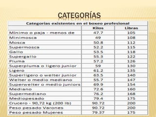 CATEGORÍAS 
 