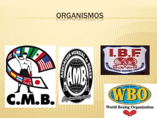 ORGANISMOS 
 
