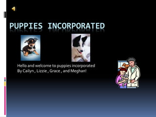 PUPPIES INCORPORATED
Hello and welcome to puppies incorporated
By Cailyn , Lizzie , Grace , and Meghan!
 