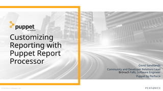 © Perforce Software, Inc.
David Sandilands
Community and Developer Relations Lead
Brónach Falls, Software Engineer
Puppet by Perforce
Customizing
Reporting with
Puppet Report
Processor
 