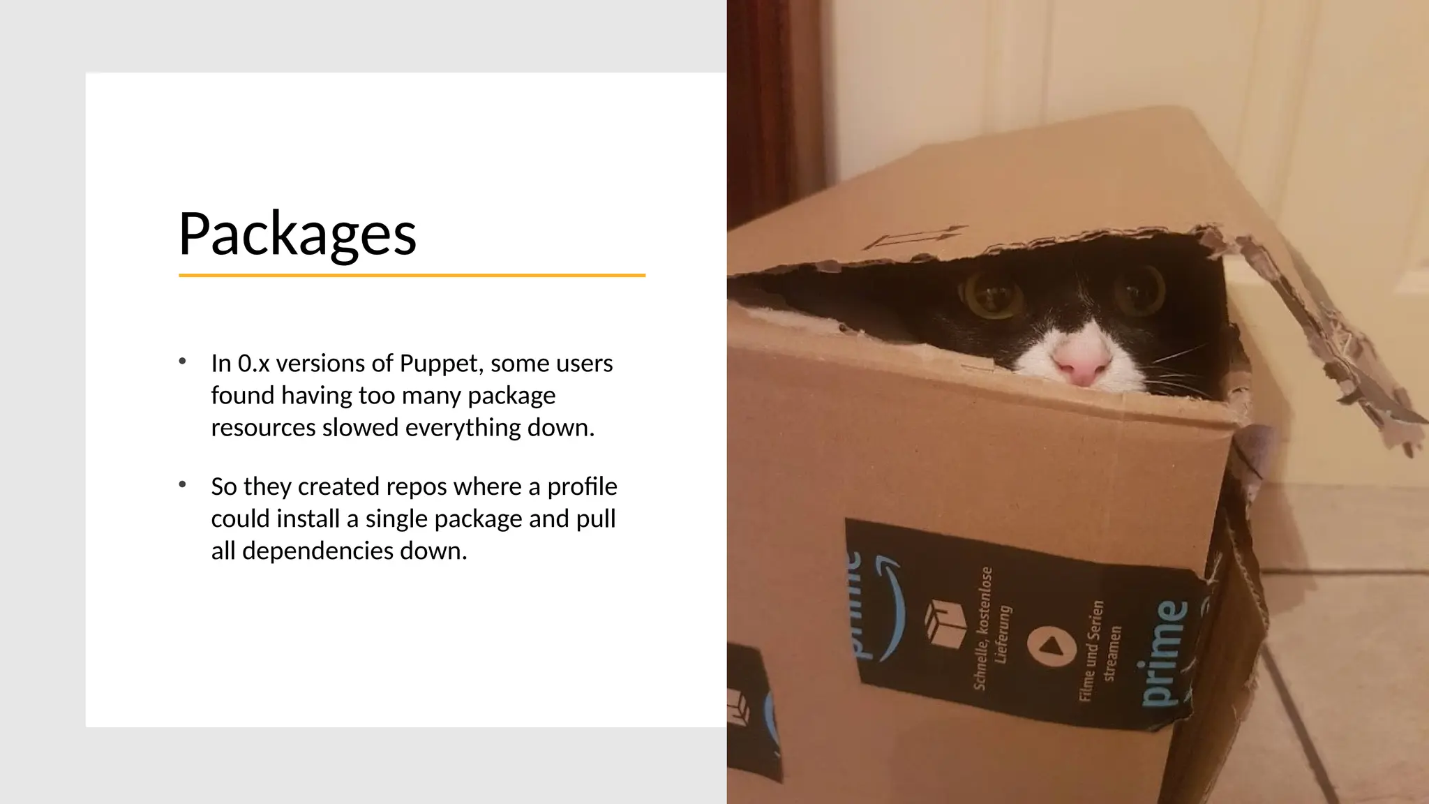 © Perforce Software, Inc.
Packages
• In 0.x versions of Puppet, some users
found having too many package
resources slowed everything down.
• So they created repos where a profile
could install a single package and pull
all dependencies down.
 