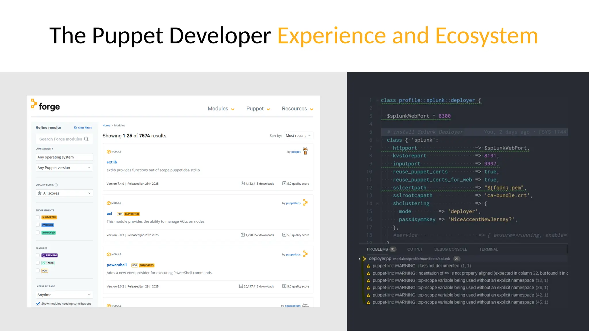 © Perforce Software, Inc.
The Puppet Developer Experience and Ecosystem
 