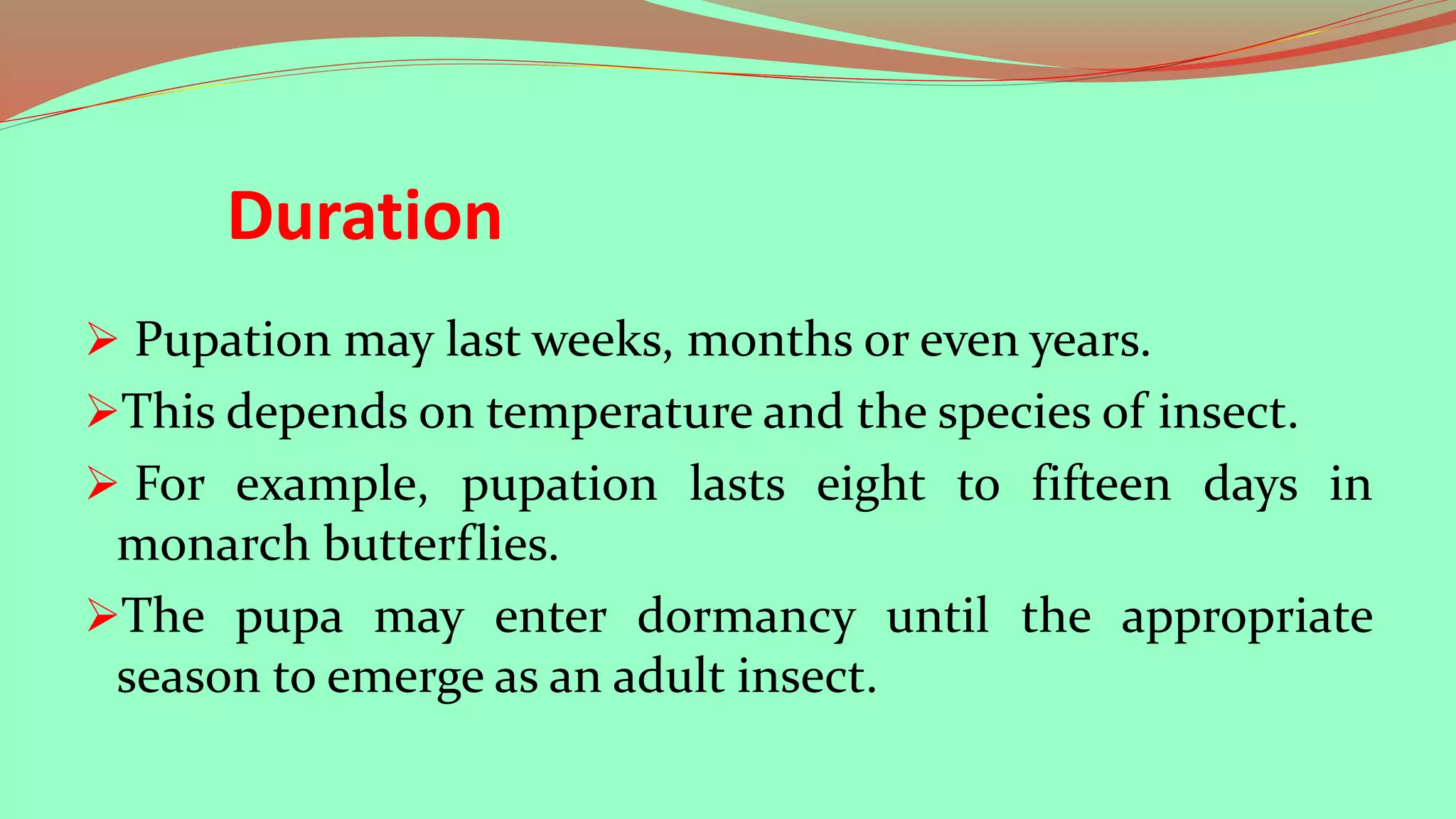 what is pupa.? | PPTX