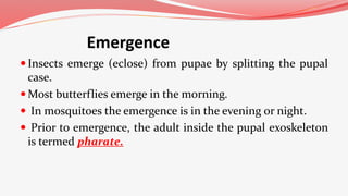 Emergence
 Insects emerge (eclose) from pupae by splitting the pupal
case.
 Most butterflies emerge in the morning.
 In mosquitoes the emergence is in the evening or night.
 Prior to emergence, the adult inside the pupal exoskeleton
is termed pharate.
 