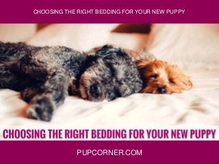 PUPCORNER.COM
CHOOSING THE RIGHT BEDDING FOR YOUR NEW PUPPY
 
