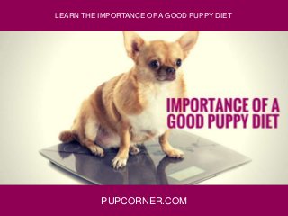 PUPCORNER.COM
LEARN THE IMPORTANCE OF A GOOD PUPPY DIET
 