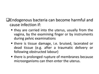 Endogenous bacteria can become harmful and
cause infection if:
 they are carried into the uterus, usually from the
vagina, by the examining finger or by instruments
during pelvic examinations
 there is tissue damage, i.e. bruised, lacerated or
dead tissue (e.g. after a traumatic delivery or
following obstructed labour)
 there is prolonged rupture of membranes because
microorganisms can then enter the uterus.
 