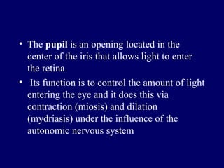 The  pupil  is an opening located in the center of the iris that allows light to enter the retina. Its function is to control the amount of light entering the eye and it does this via contraction  ( miosis )  and dilation  ( mydriasis )  under the influence of the autonomic nervous system 