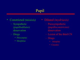 Pupil Constricted  (mioisis) Sympathetic  (pupillodilator)  denervation Drugs Pilocarpine Morphine Dilated  (mydriasis) Parasympathetic  (pupilloconstrictor)  denervation Lesion of the third CN Drugs Atropine Cocaine 