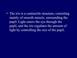 The iris is a contractile structure, consisting mainly of smooth muscle, surrounding the pupil .  Light enters the eye through the pupil, and the iris regulates the amount of light by controlling the size of the pupil . 