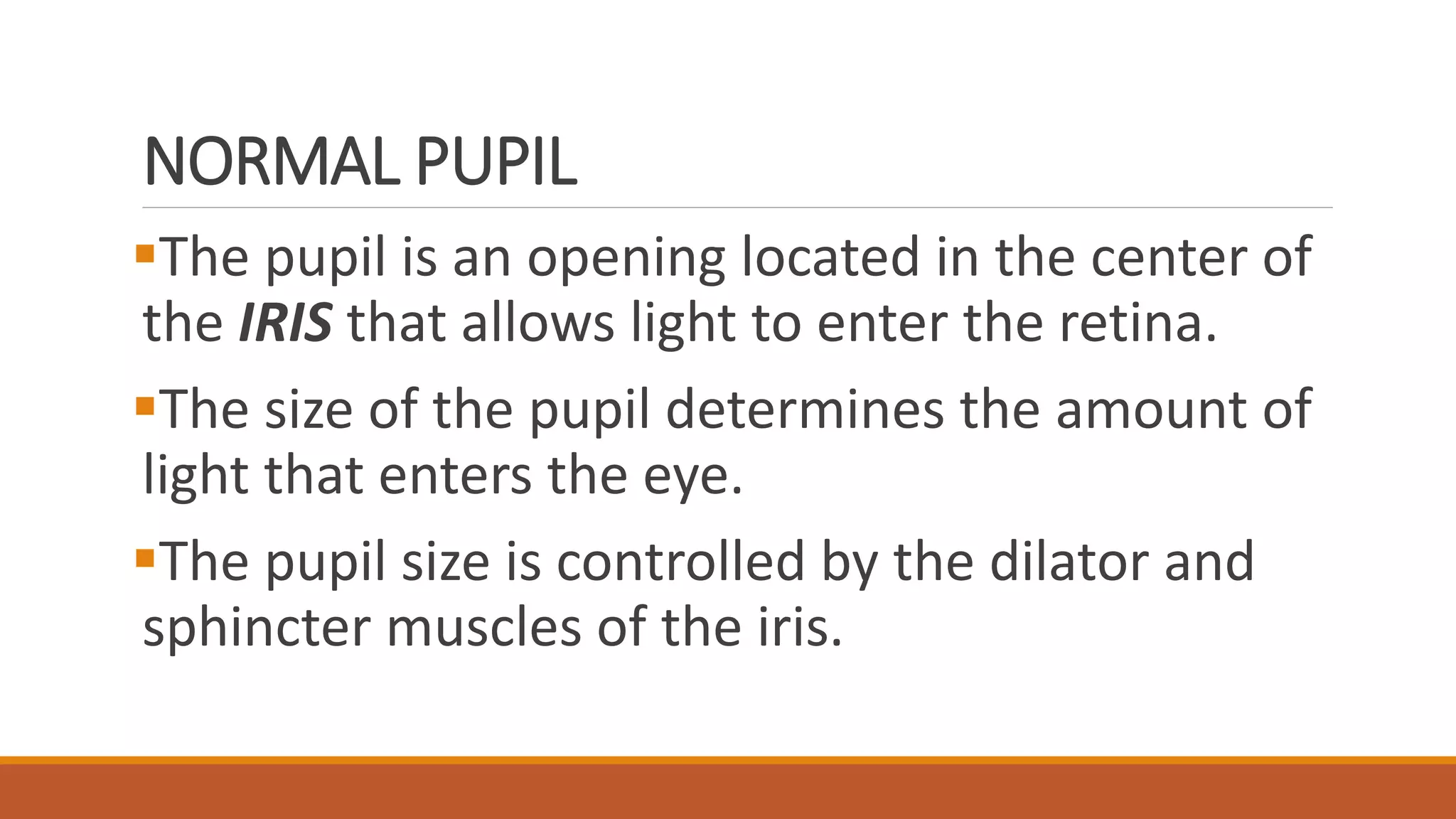 Pupil | PPT