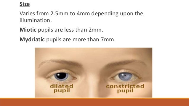 What is normal pupil size?