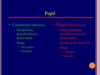 Pupil
• Constricted (mioisis)
– Sympathetic
(pupillodilator)
denervation
– Drugs
• Pilocarpine
• Morphine
• Dilated (mydriasis)
– Parasympathetic
(pupilloconstrictor)
denervation
– Lesion of the third CN
– Drugs
• Atropine
• Cocaine
 