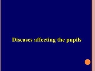 Diseases affecting the pupils
 