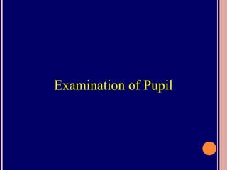 Examination of Pupil
 