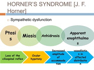 HORNER’S SYNDROME [J. F.
Horner]
 Sympathetic dysfunction
Ptosi
s
Miosis Anhidrosis
Apparent
enophthalmo
s
Loss of the
ciliospinal reflex
Ocular
hypotony
Increased
amplitude
of
accommoda
tion
vasodilatio
n in
affected
distributio
n
 